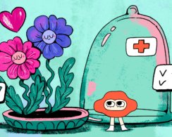 Какие анализы сдать паре, чтобы начать заниматься сексом без презерватива