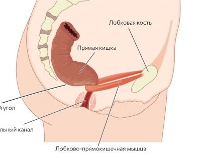 Как правильно какать