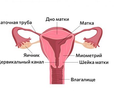 Как делают перевязку маточных труб и можно ли потом забеременеть
