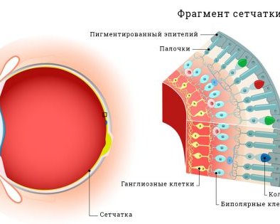 Почему появляется дальтонизм и можно ли его вылечить