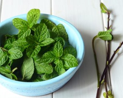 10 растений, которые обладают противовирусными свойствами