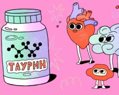 Правда ли добавки с таурином улучшают выносливость и продлевают молодость