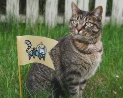 Исследование: у владельцев кошек может быть повышен риск развития шизофрении