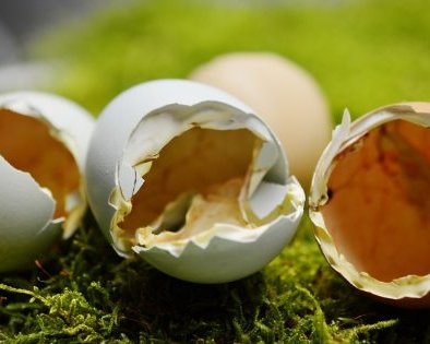10 продуктов, в которых кальция больше, чем в твороге